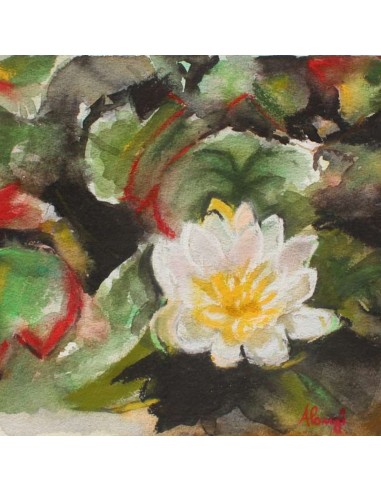 ANNAMARIA ALONGI WATER LILY