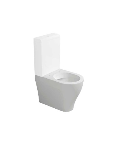 Ceramica Flaminia App Vaso Monoblocco Con Cassetta Di Scarico