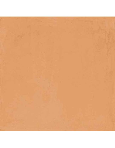 Ceramica Sant'Agostino Vita Cotto Matt Porcelain Stoneware Tiles 20x20 Cm