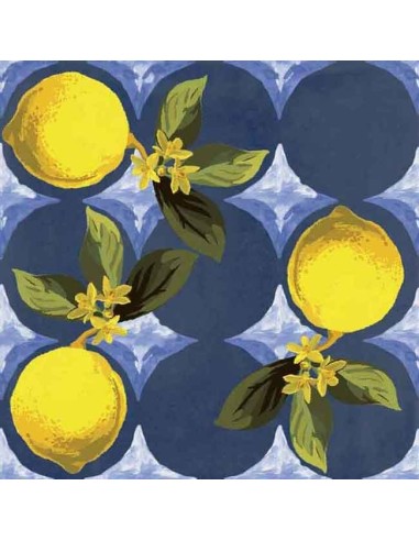 Ceramica Sant'Agostino Vita Giardino Blu Tiles