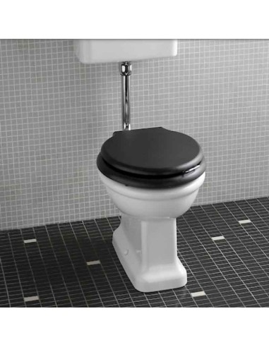 Devon & Devon Blues Floorstanding Toilet With Deep Black Seatcover