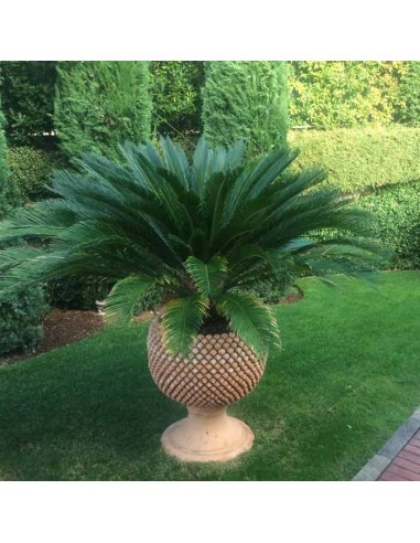 Nicolò Giuliano Pine Cone Vase