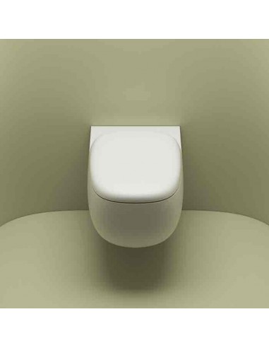 Valdama Seed Suspended Toilet